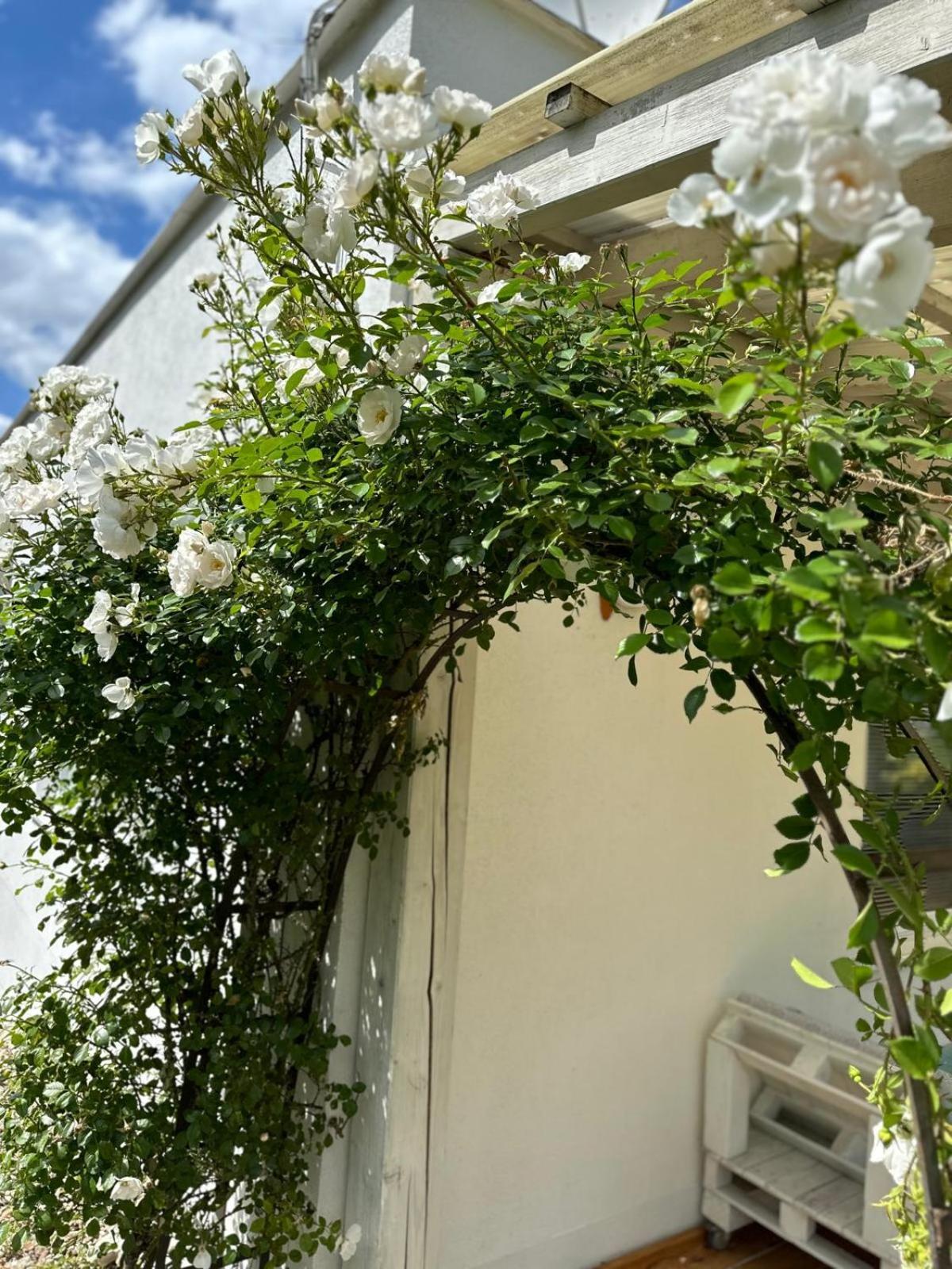 Apartmán Lípa Mikulov Exterior foto