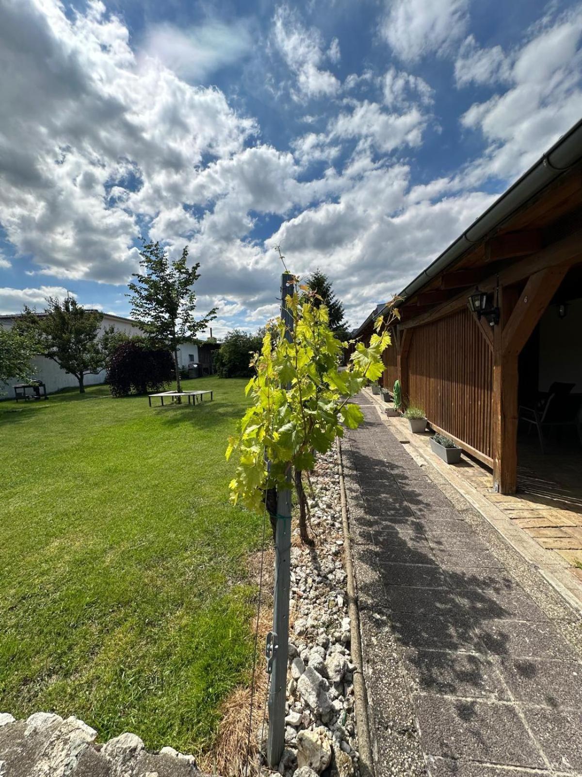 Apartmán Lípa Mikulov Exterior foto